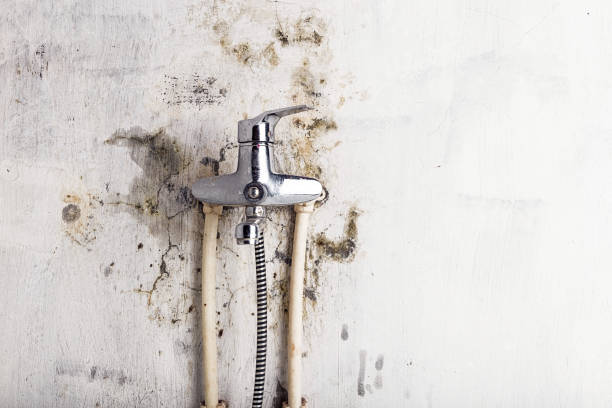 Reliable East Los Angeles, CA Mold Remediation Solutions