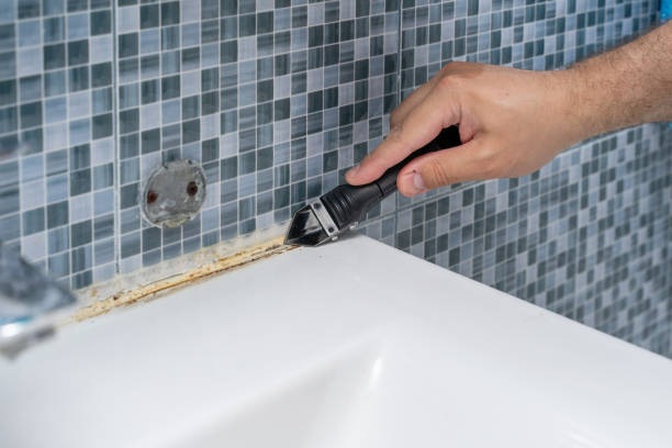 Best Basement Mold Remediation in East Los Angeles, CA
